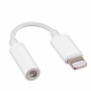 White Audio Adapter